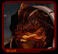 Grunt